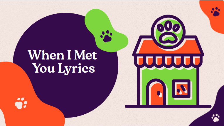 When I Met You Lyrics